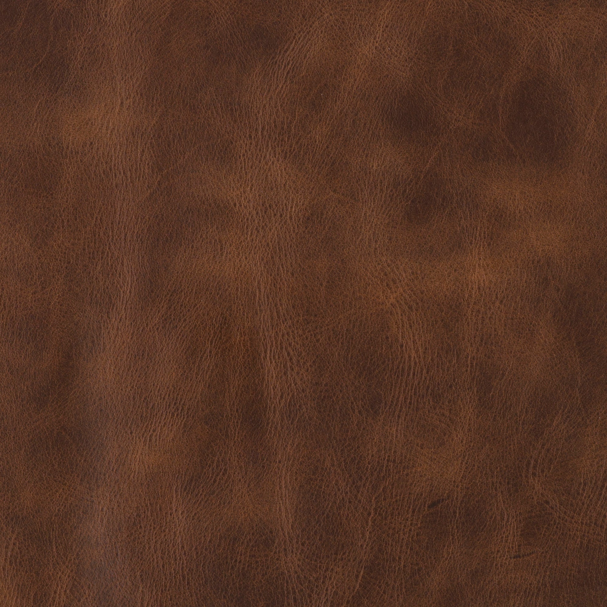 Arruza tortoise brown leather swatch detail - Blue Mountain Brands USA