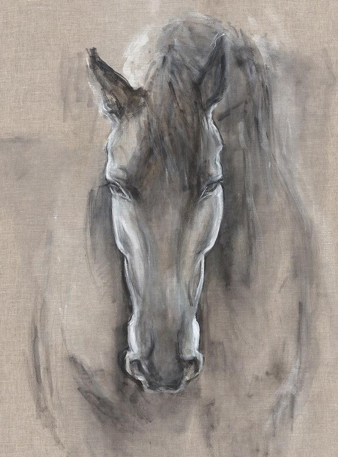 Unframed Buckingham Royal Horse Art made in the USA - Blue Mountain Brands USA