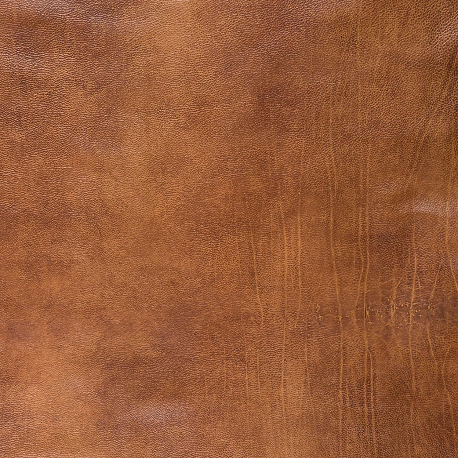 Burnished leather sample