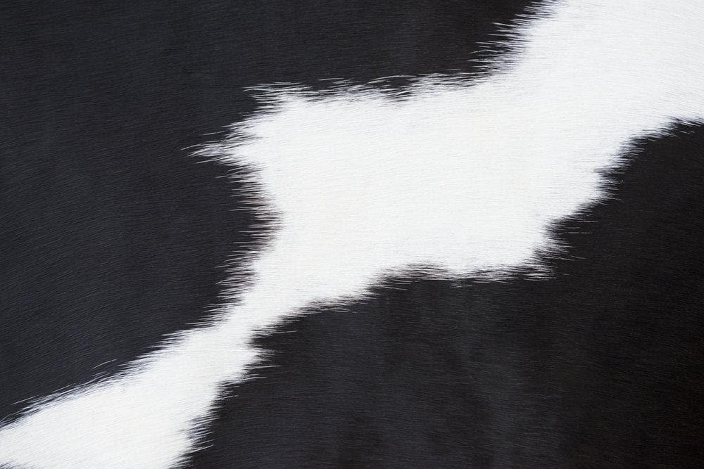 Black and white cowhide example - Your Western Decor