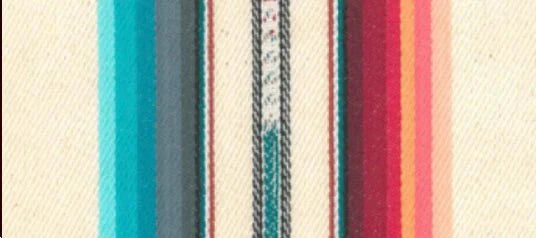 Cactus flower serape fabric - Your Western Decor