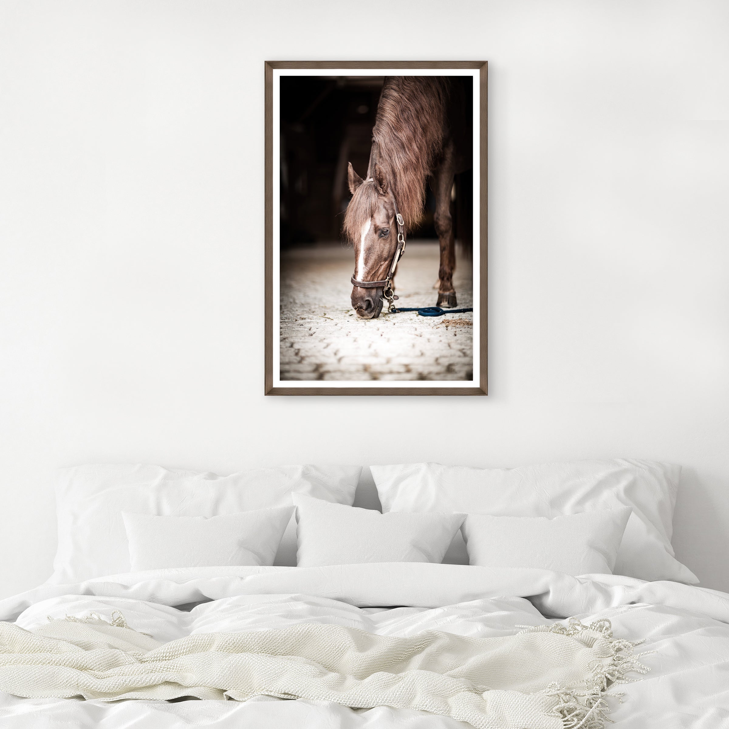 Framed photograph of a horse on a wall above a bed with white bedding - Blue Mountain Brands USA