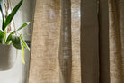 Brown textured curtain with a plant on a light-colored wall