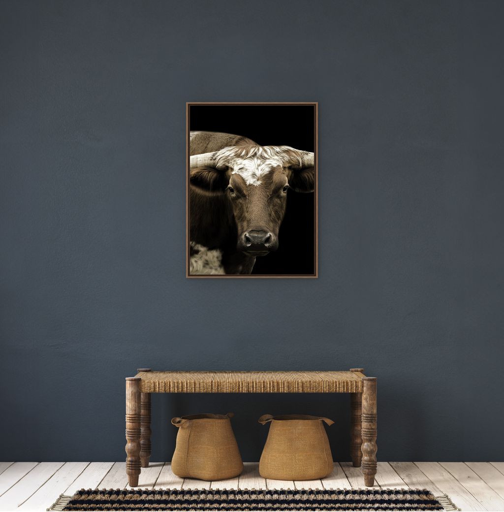 western longhorn canvas art close up steer portrait black background