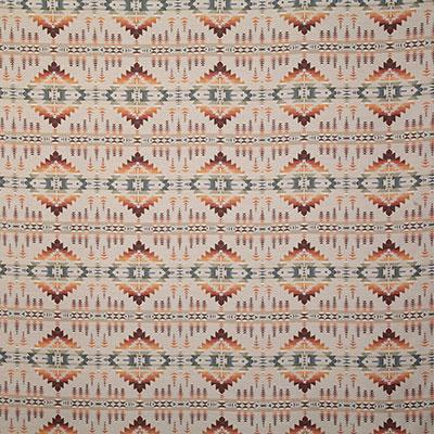 Sunbrella Mesa Adobe Fabric by Pendleton