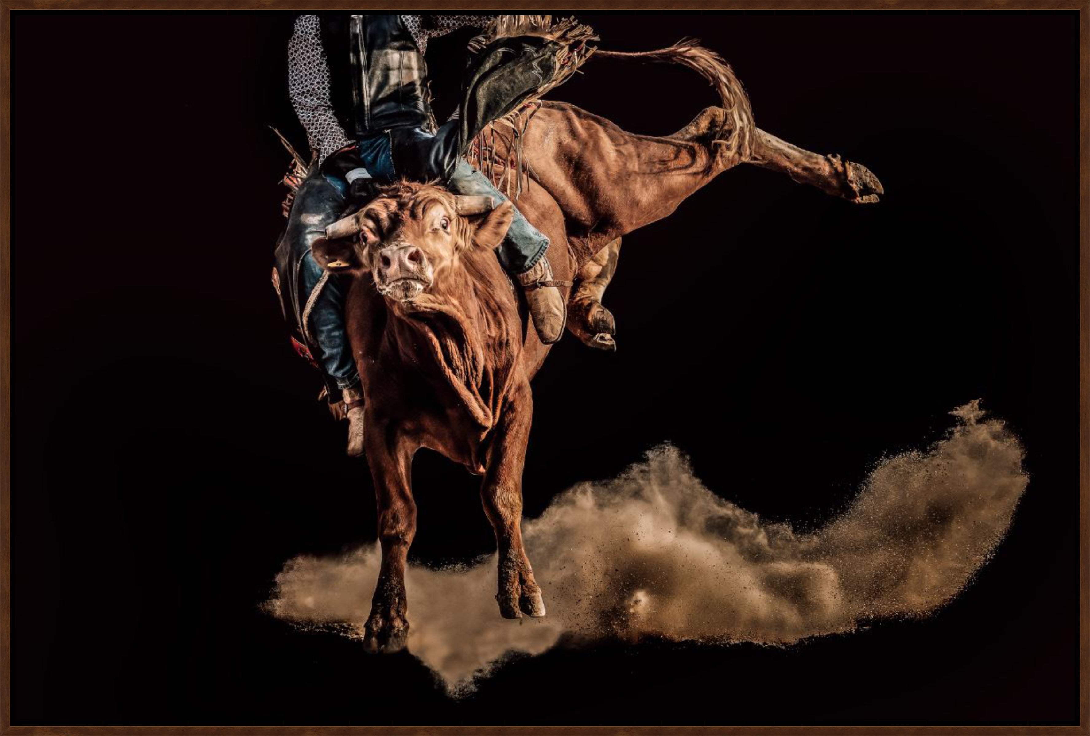 Rodeo rider on a bucking bull with dust in the air against a dark background - Blue Mountain Brands USA