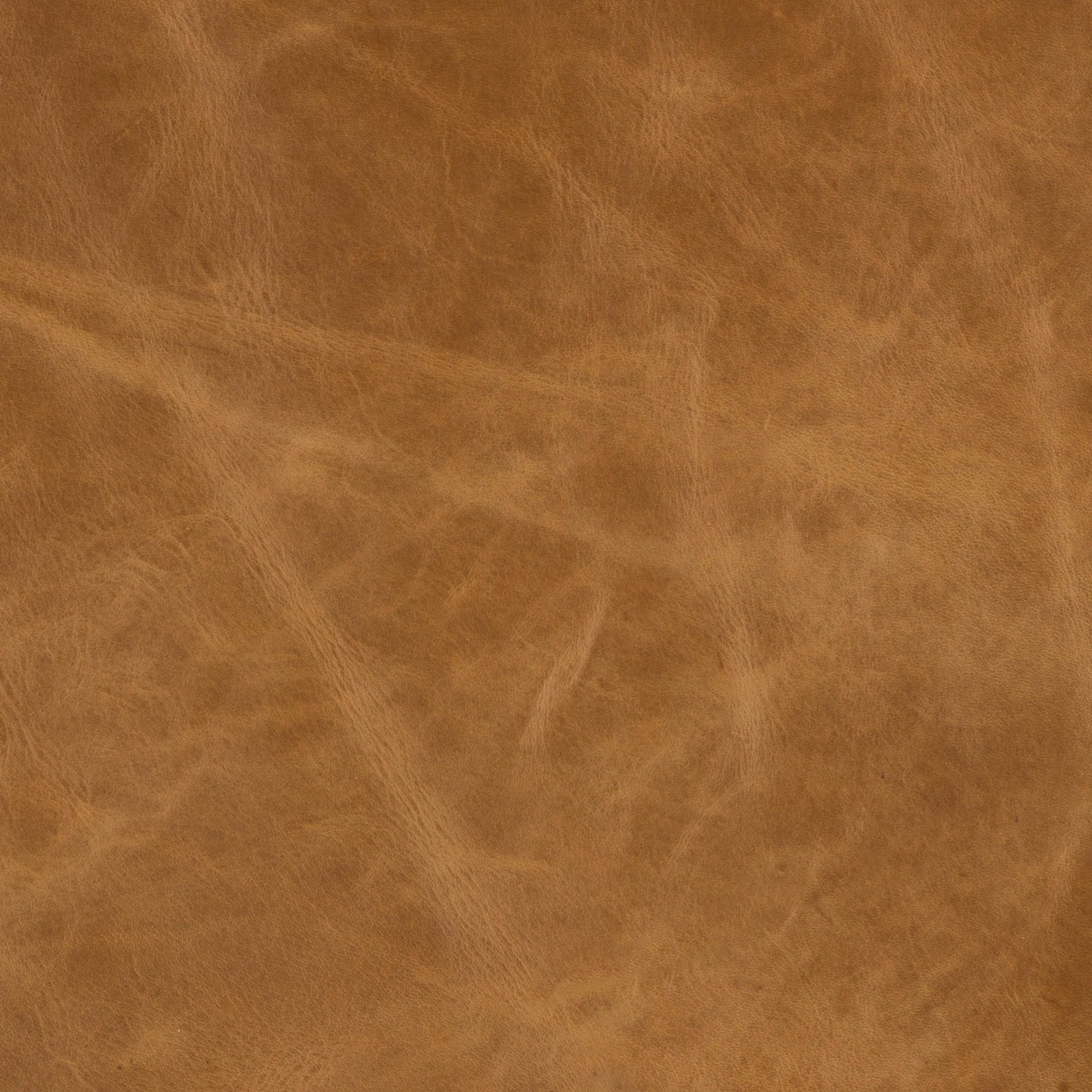 Arruza lions made tan distressed leather - Your Western Decor