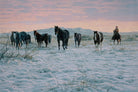 Cowboy art herding horses - art by Tim Cox - Blue Mountain Brands USA