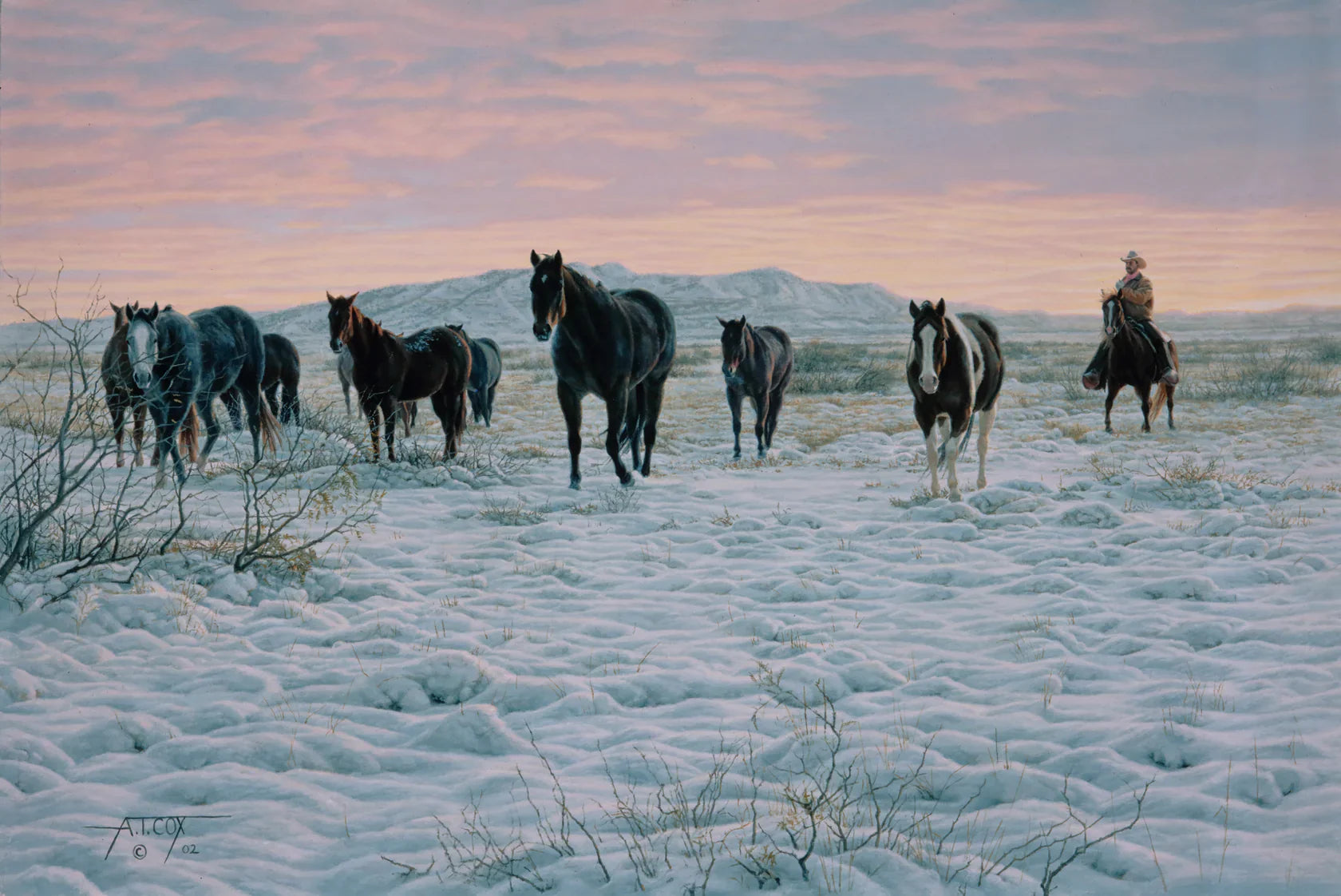 Cowboy art herding horses - art by Tim Cox - Blue Mountain Brands USA