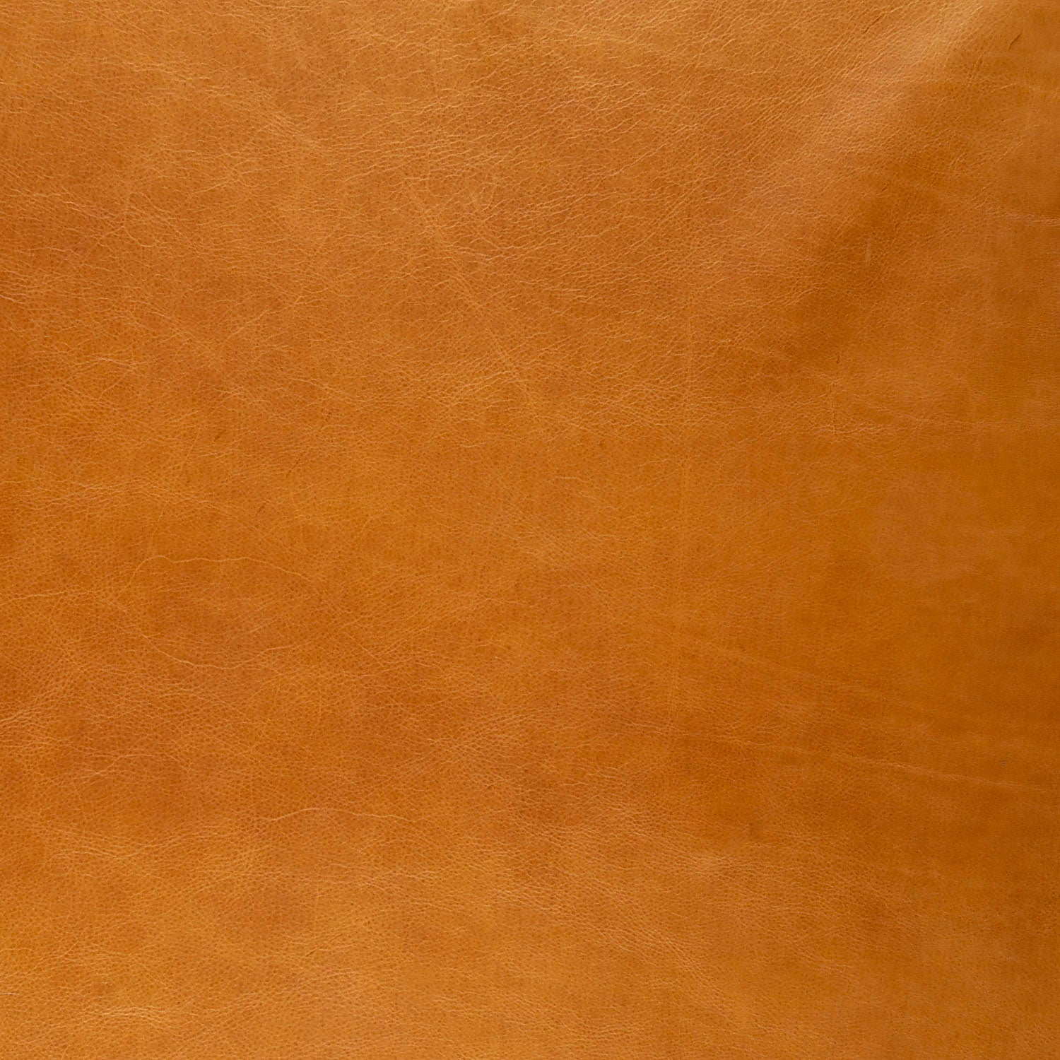 Leather sample - Blue Mountain Brands USA