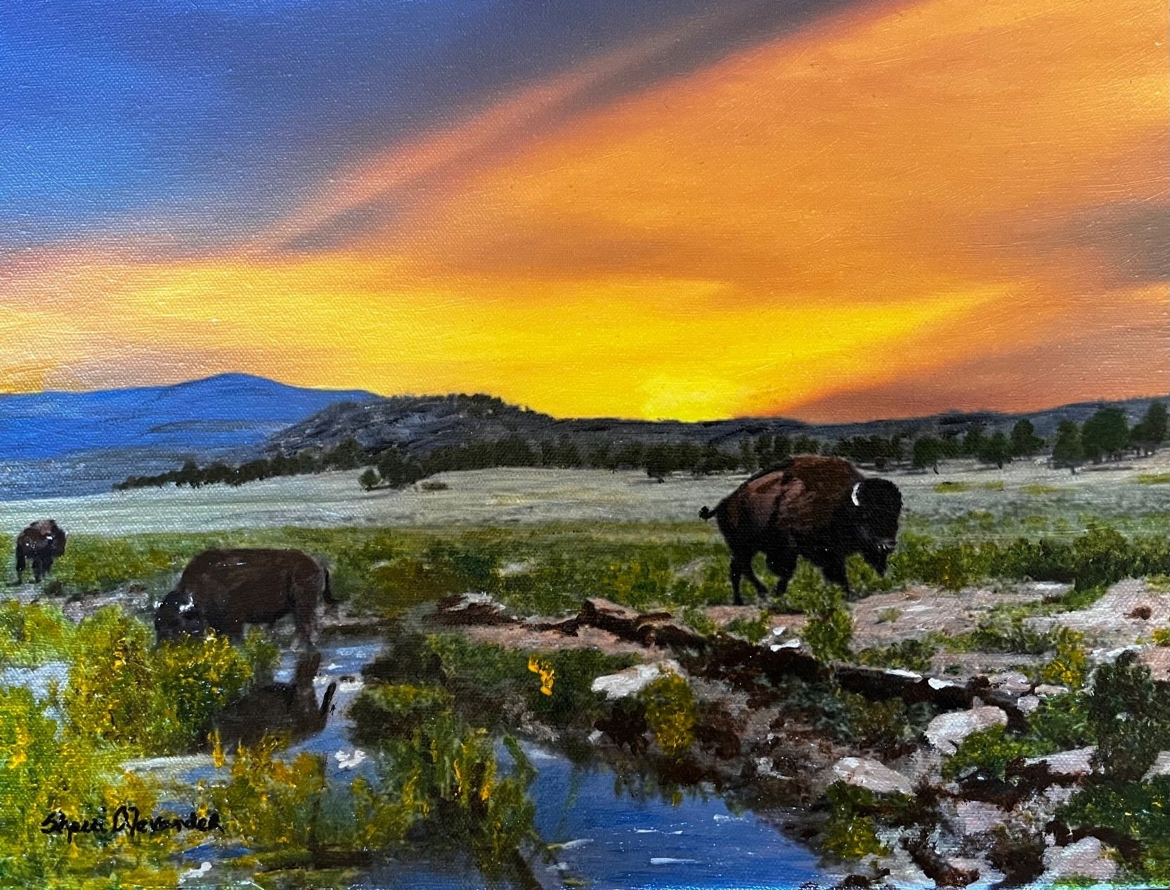 Vivid Buffalo painting reproduction by artist Sherri Alexander for Blue Mountain Brands USA