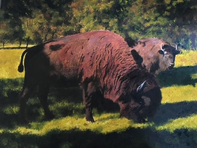 Two bison grazing in a grassy field with trees in the background, art by Sherri Alexander for Blue Mountain Brands USA