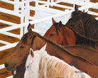 Holding pen rodeo canvas horse art - Blue Mountain Brands USA