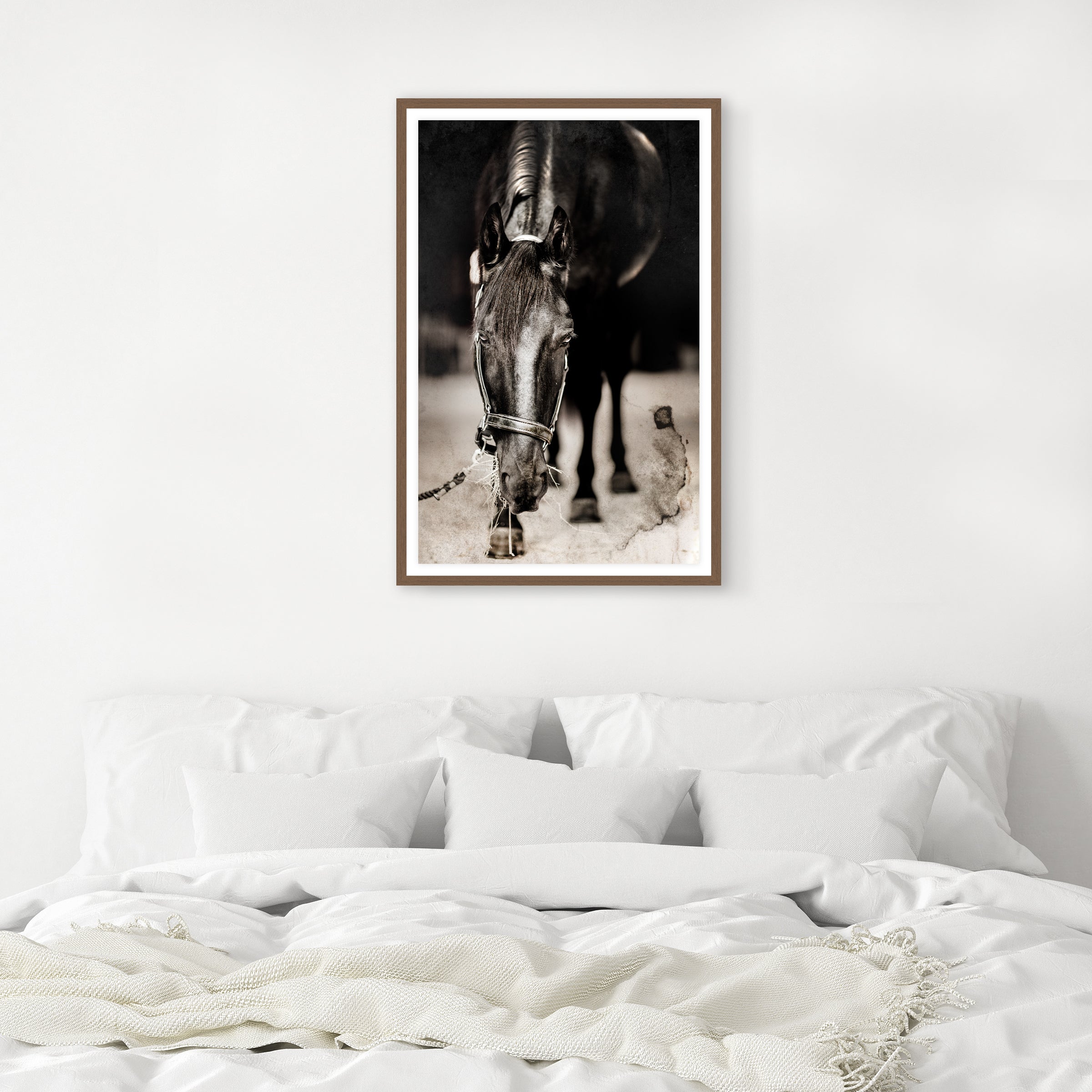 Framed black and white photograph of a horse on a wall above a bed - Blue Mountain Brands USA