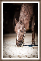 Framed horse wall art equestrian decor with brown horse in stable for western home decor