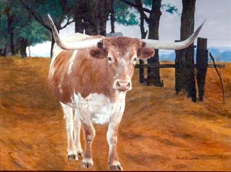 Painting of a longhorn cow standing in a field with trees and a fence in the background. Art by Sherri Alexander , Texas  USA for Blue Mountain Brands USA 
