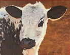 Bold calf art by artist Sherri Alexander for Blue Mountain Brands USA 