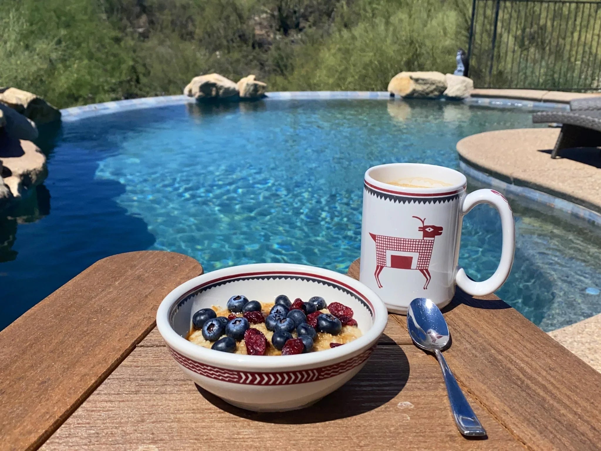 Bowl of fruit, mug with a design, and spoon on a wooden deck by a pool - Your Western Decor