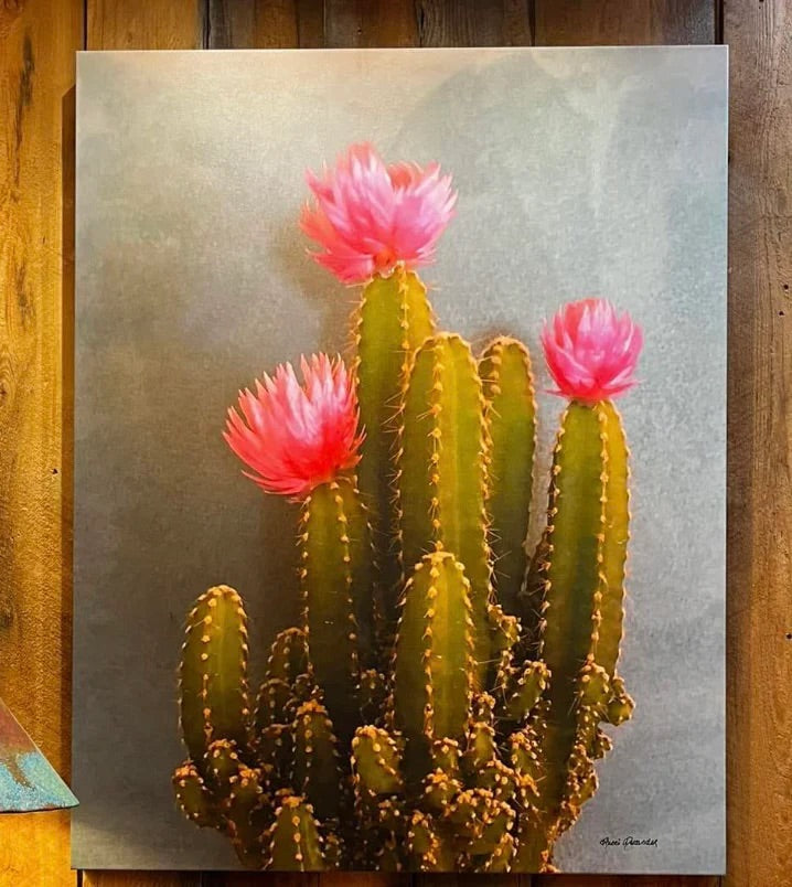 Painting of a cactus with pink flowers on a textured gray background - Blue Mountain Brands USA