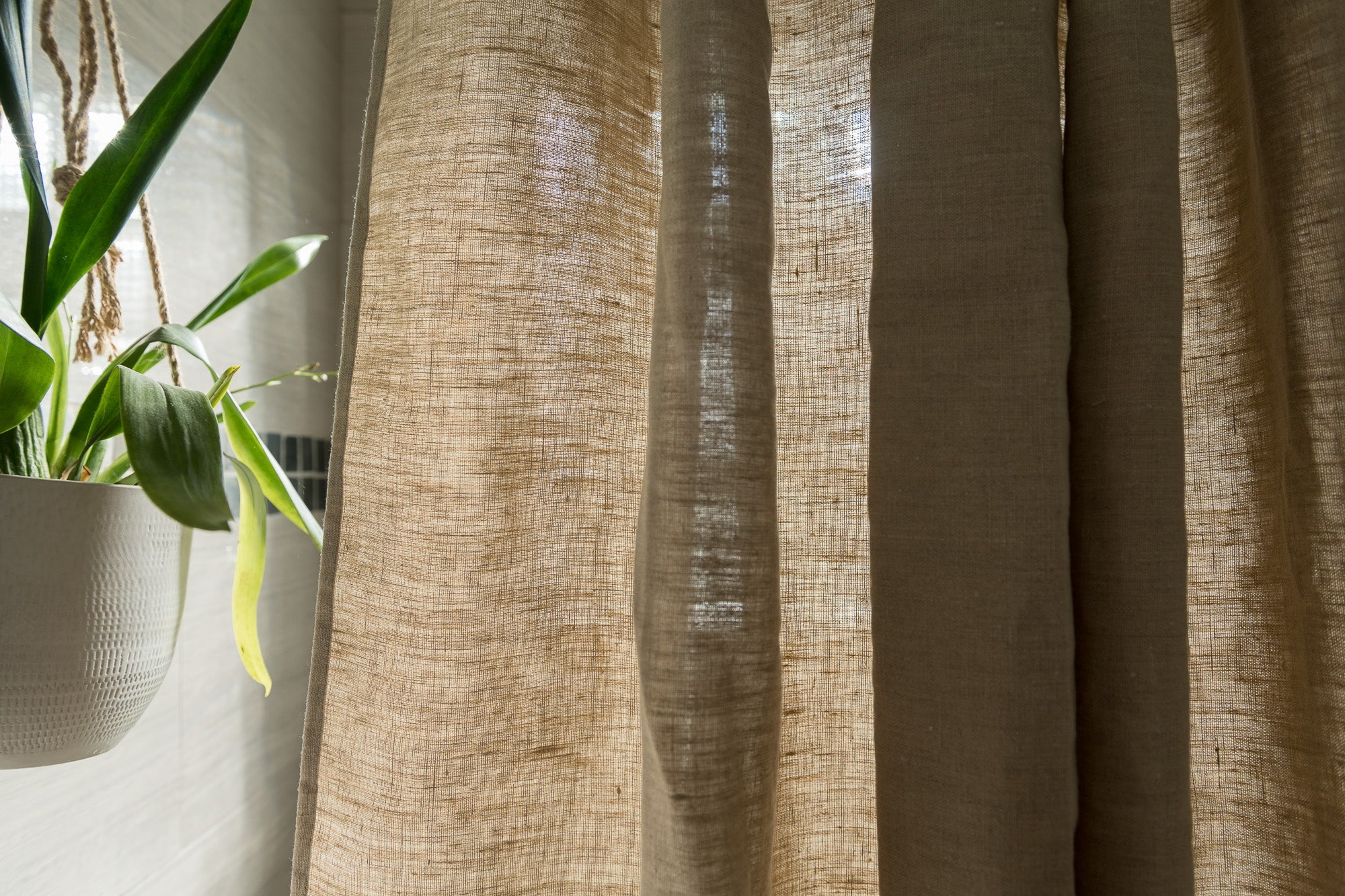 Brown textured curtain with a plant on a light-colored wall