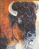 Buffalo art by Sherri Alexander for Blue Mountain Brands USA Home Decor
