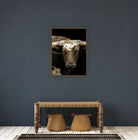 western longhorn canvas art close up steer portrait black background