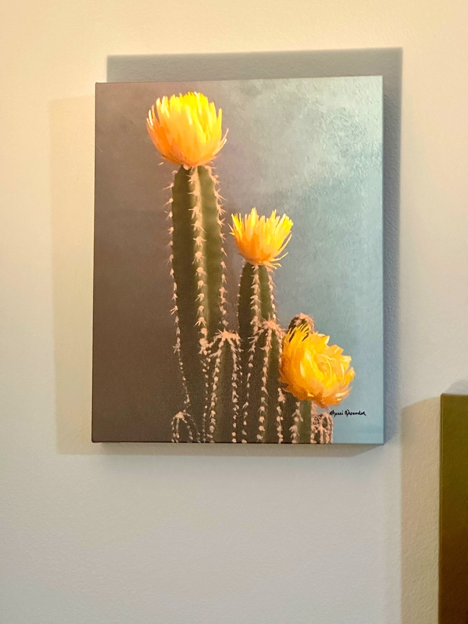 Canvas print of a cactus with yellow flowers on a wall by Sherri Alexander 
