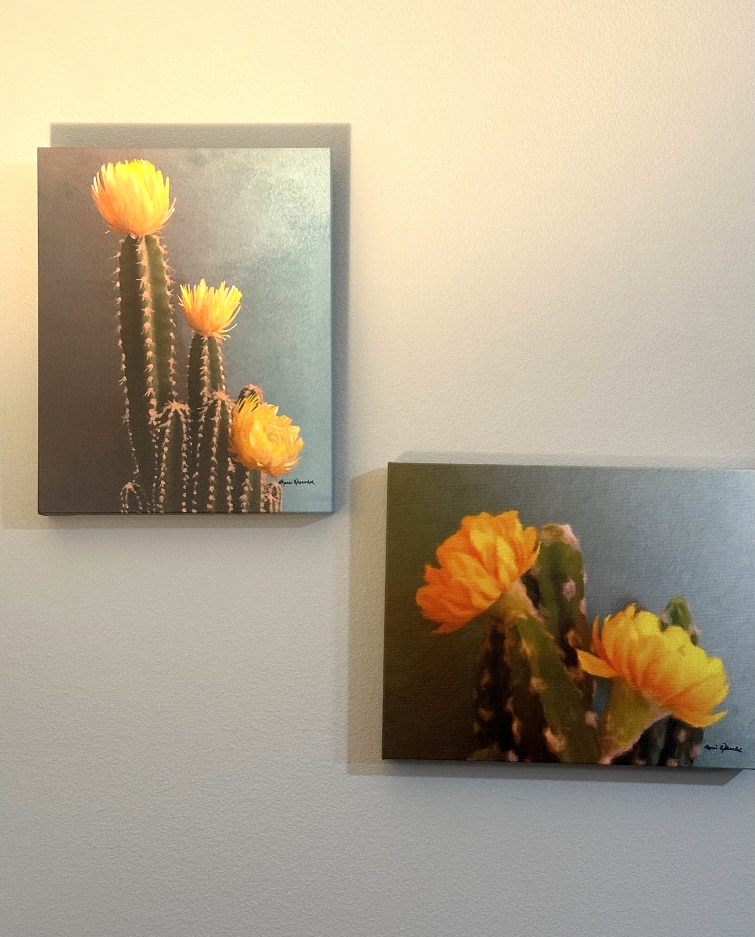 Painting of a cactus with yellow flowers on a textured gray background - Art by Sherri Alexander for Blue Mountain Brands USA
