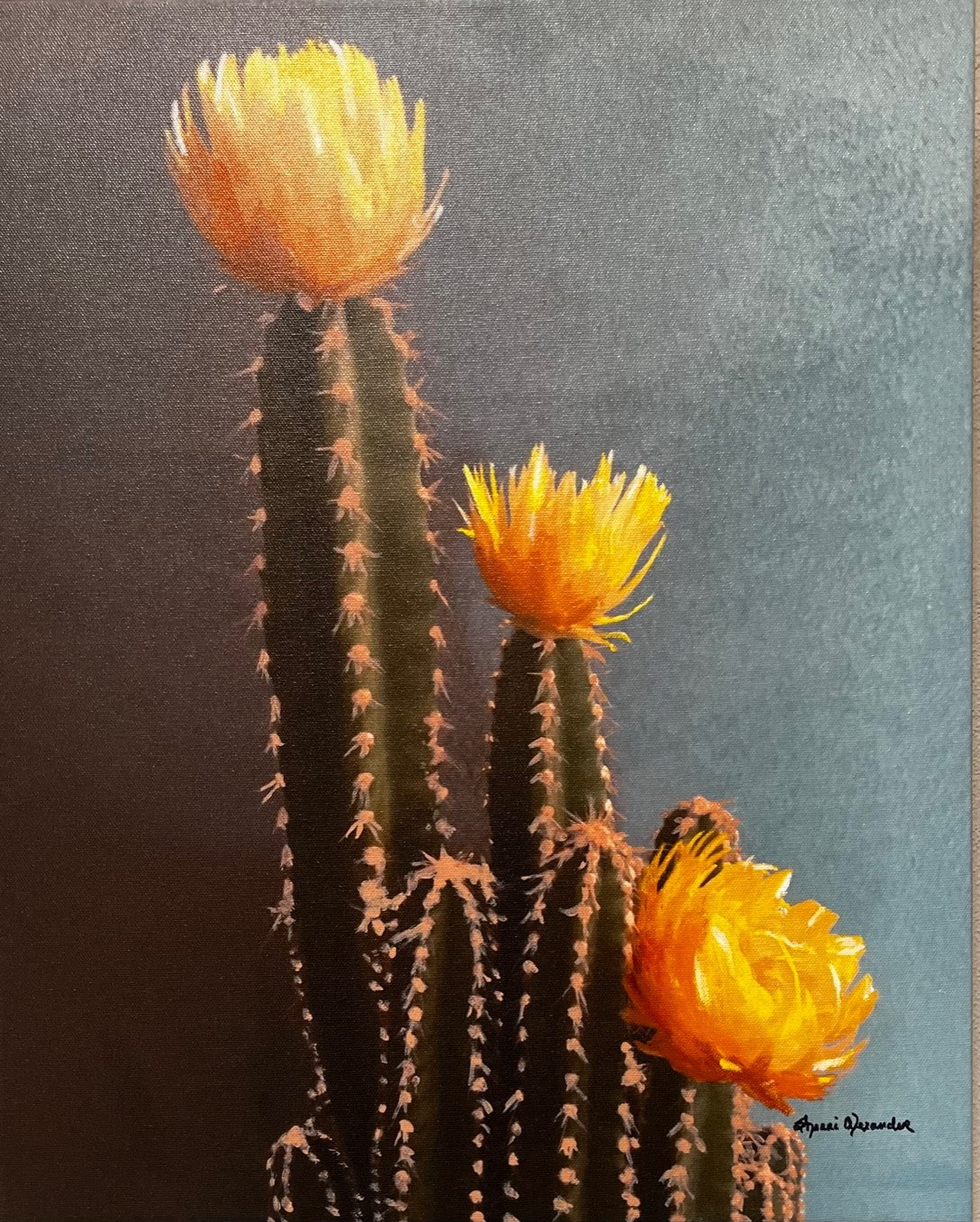 Cactus with yellow flowers against a dark background canvas art by Sherri Alexander - Blue Mountain Brands USA