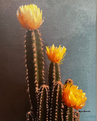 Cactus with yellow flowers against a dark background canvas art by Sherri Alexander - Blue Mountain Brands USA