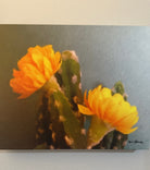 Painting of a cactus with yellow flowers on a textured gray background - Art by Sherri Alexander for Blue Mountain Brands USA
